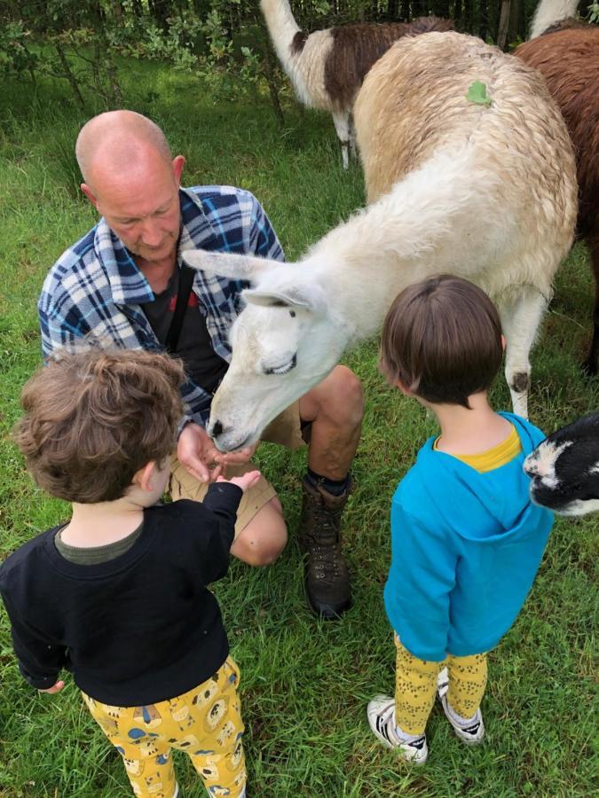The Llama Farm France Saint-Cyr-Les-Champagnes Exterior foto